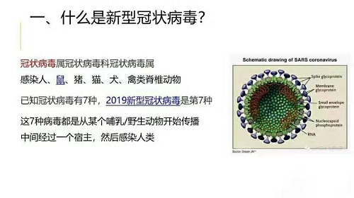 企业如何预防新型冠状病毒|节后复工必备(三)